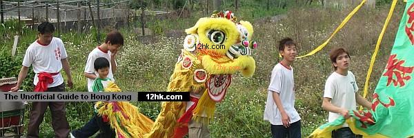 Chinese New Year lion dance team
