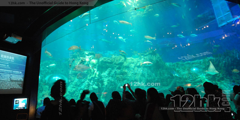 Hong Kong Ocean Park