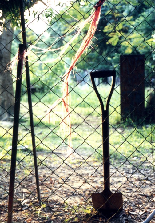 A resting shovel, New Territories, Hong Kong