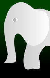WhiteElephantRow2xCol2.jpg