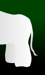 WhiteElephantRow2xCol3.jpg